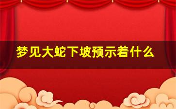 梦见大蛇下坡预示着什么