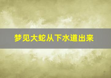 梦见大蛇从下水道出来