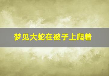 梦见大蛇在被子上爬着