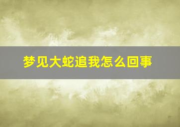 梦见大蛇追我怎么回事