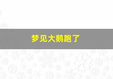 梦见大鹅跑了