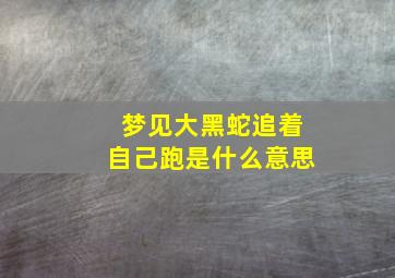 梦见大黑蛇追着自己跑是什么意思