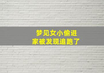 梦见女小偷进家被发现追跑了