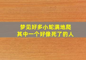 梦见好多小蛇满地爬其中一个好像死了的人