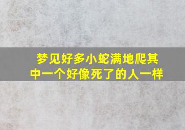 梦见好多小蛇满地爬其中一个好像死了的人一样