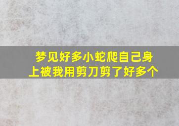 梦见好多小蛇爬自己身上被我用剪刀剪了好多个