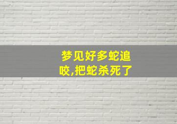 梦见好多蛇追咬,把蛇杀死了