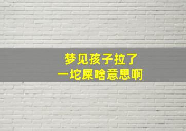 梦见孩子拉了一坨屎啥意思啊