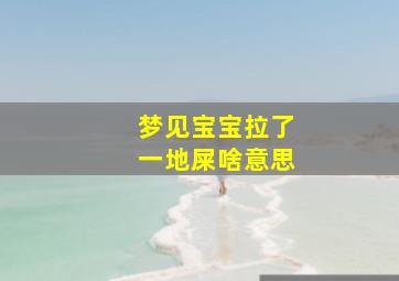 梦见宝宝拉了一地屎啥意思