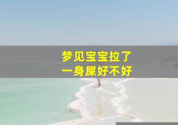 梦见宝宝拉了一身屎好不好