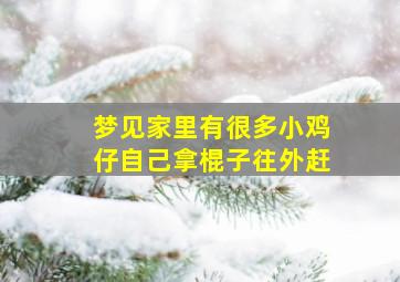 梦见家里有很多小鸡仔自己拿棍子往外赶