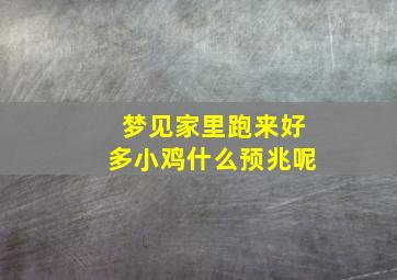 梦见家里跑来好多小鸡什么预兆呢