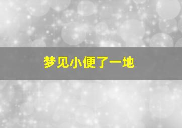 梦见小便了一地