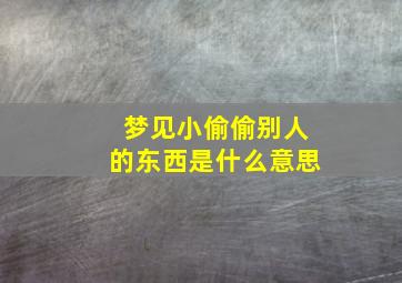 梦见小偷偷别人的东西是什么意思