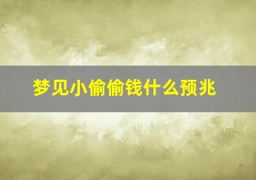 梦见小偷偷钱什么预兆