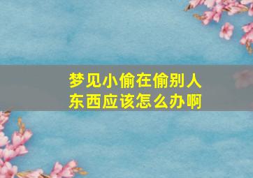 梦见小偷在偷别人东西应该怎么办啊