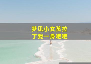 梦见小女孩拉了我一身粑粑