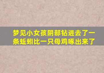 梦见小女孩阴部钻进去了一条蚯蚓比一只母鸡啄出来了