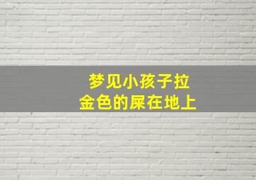 梦见小孩子拉金色的屎在地上