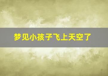 梦见小孩子飞上天空了