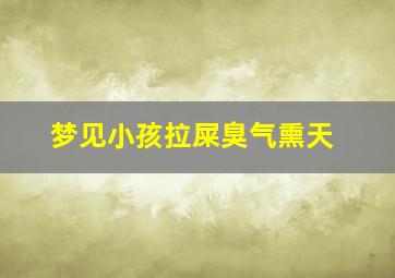 梦见小孩拉屎臭气熏天