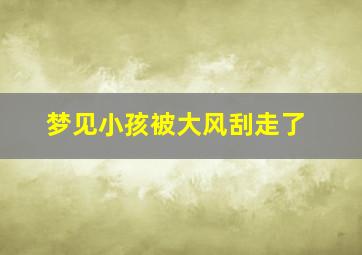 梦见小孩被大风刮走了