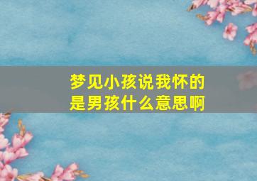 梦见小孩说我怀的是男孩什么意思啊