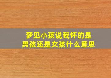 梦见小孩说我怀的是男孩还是女孩什么意思