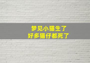 梦见小猫生了好多猫仔都死了