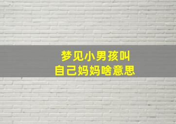 梦见小男孩叫自己妈妈啥意思