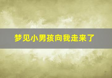 梦见小男孩向我走来了