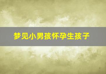 梦见小男孩怀孕生孩子