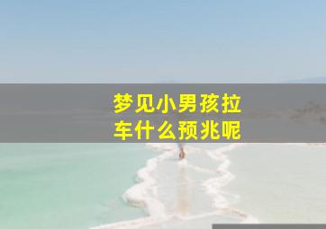 梦见小男孩拉车什么预兆呢