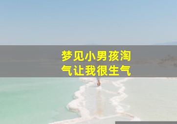 梦见小男孩淘气让我很生气