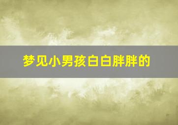 梦见小男孩白白胖胖的