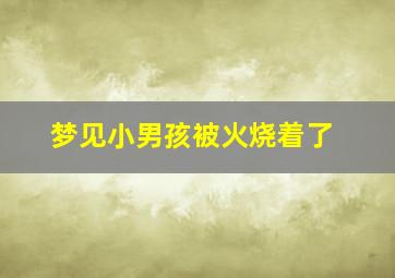 梦见小男孩被火烧着了