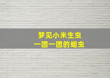 梦见小米生虫一团一团的蛆虫