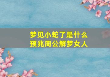 梦见小蛇了是什么预兆周公解梦女人