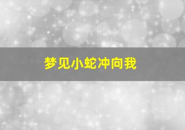 梦见小蛇冲向我