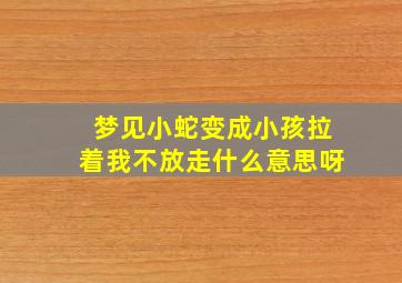 梦见小蛇变成小孩拉着我不放走什么意思呀