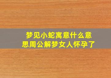 梦见小蛇寓意什么意思周公解梦女人怀孕了