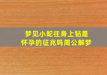 梦见小蛇往身上钻是怀孕的征兆吗周公解梦