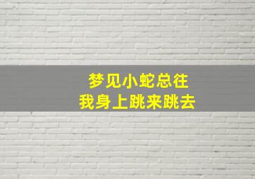 梦见小蛇总往我身上跳来跳去