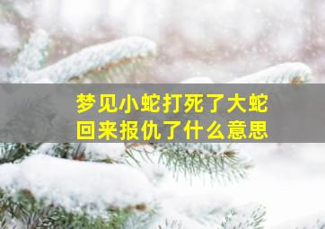 梦见小蛇打死了大蛇回来报仇了什么意思