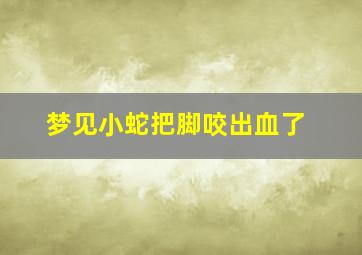 梦见小蛇把脚咬出血了