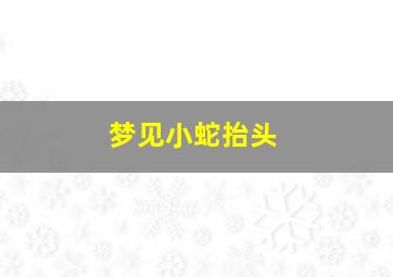 梦见小蛇抬头