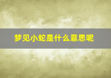 梦见小蛇是什么意思呢