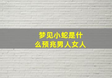 梦见小蛇是什么预兆男人女人