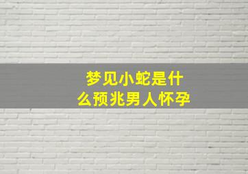 梦见小蛇是什么预兆男人怀孕