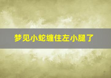 梦见小蛇缠住左小腿了